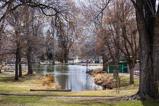 pond-surrounded-by-large-trees-in-idlewild-park-n-2023-11-27-05-18-50-utc.jpg